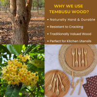 2 Wooden fork mini Tembusu Wood Mini Forks, 5.1 Inch (6 Pcs)