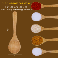 2.Seasoning spoon 12 Pcs-Tembusu Wood Seasoning Spoons