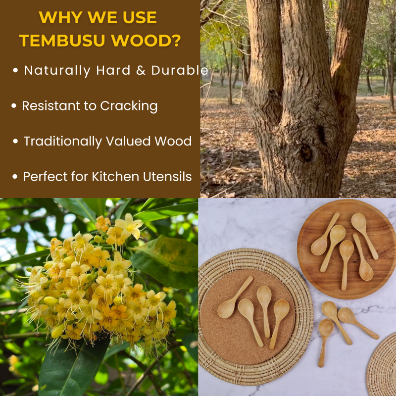 3.Seasoning spoon 12 Pcs-Tembusu Wood Seasoning Spoons