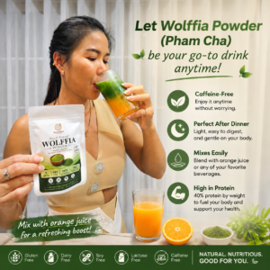 wolffia powder (Pham cha)